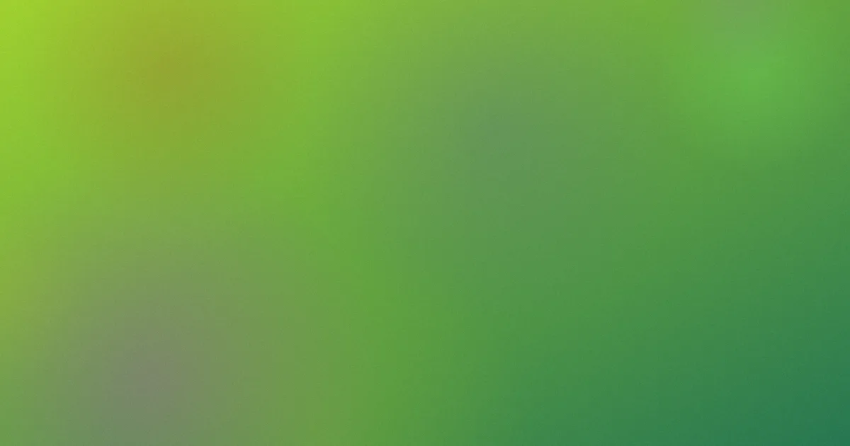 哗哩避坑：四类风险逐项拆解